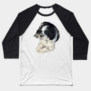 Havanese Toy Dog "Lulu" Baseball T-Shirt